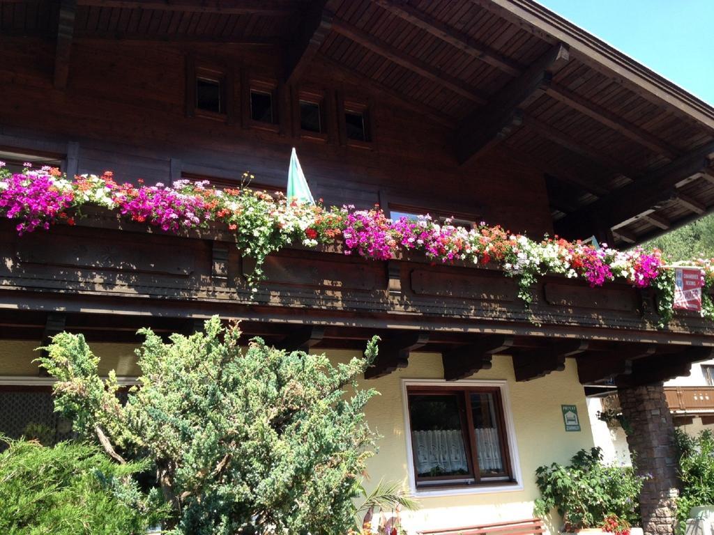 Haus Tenk Mittersill Kültér fotó